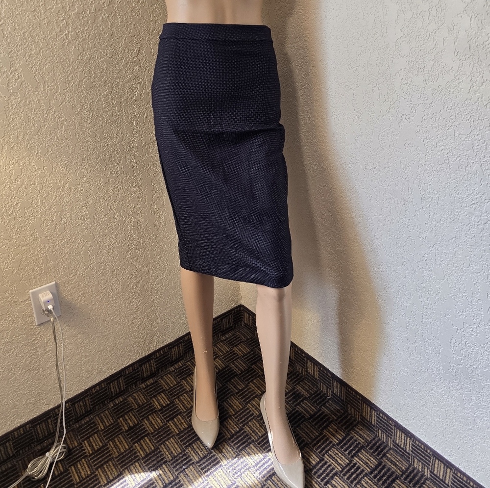 Banana Republic Navy Polka Dot Skirt